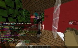 Create meme: the names of privileges on the servers, server, nicknames for minecraft servers