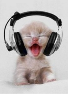 Create meme: funny headphones, cat with headphones, cat with headphones
