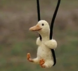 Create meme: duck , plush goose, funny pictures of animals 