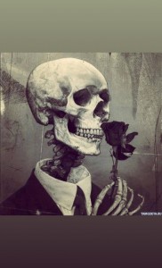 Создать мем: skeleton flower, skull, skeleton art