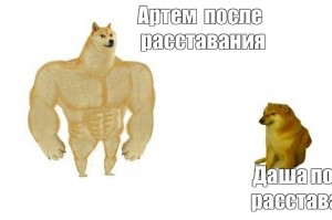 Создать мем: собака силач мем, собака с мускулами мем, собака мускулистая