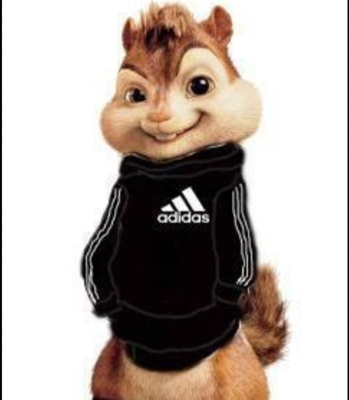 Create meme: Alvin and the chipmunks Adidas, chipmunk alvin, Alvin in Adidas