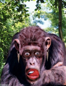 Создать мем: смешное лицо обезьяны, обезьяна, шимпанзе смешные