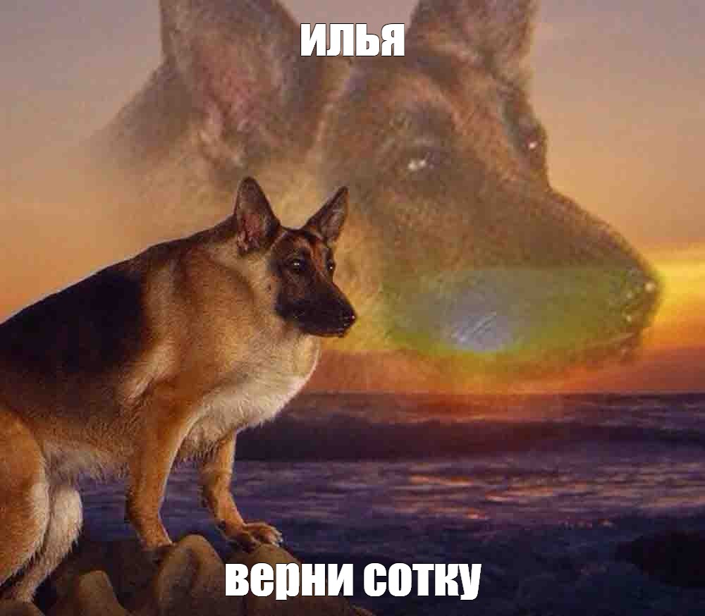 Создать мем: null