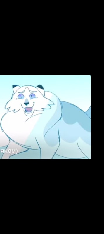 Create meme: polar bear , polar bear muzzle, warrior cats