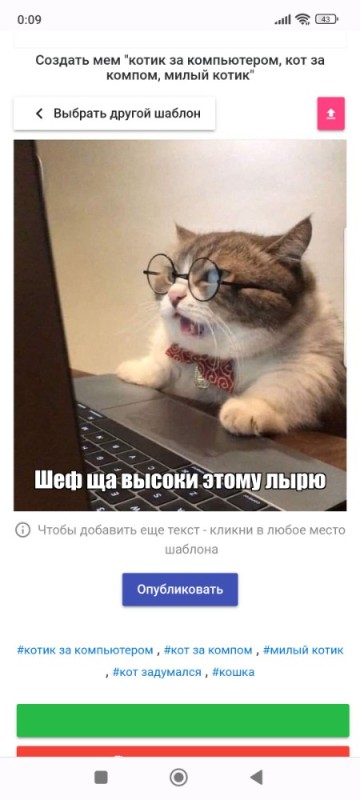 Создать мем: кот, кот за компьютером, орущий кот за компьютером