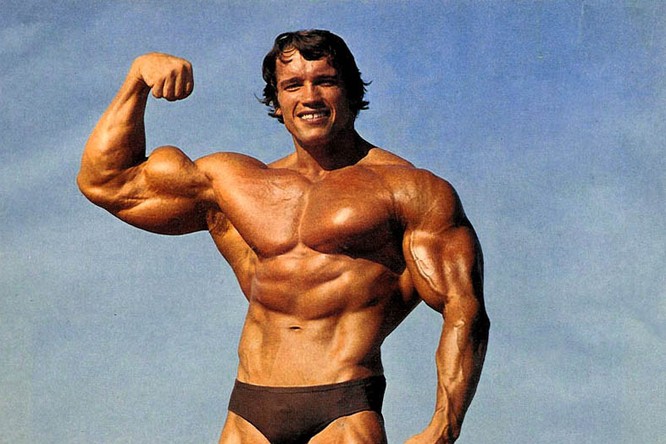 Create meme: Arnold Schwarzenegger body, Arnold Schwarzenegger in his youth, Arnold schwarzenegger Mr. Olympia