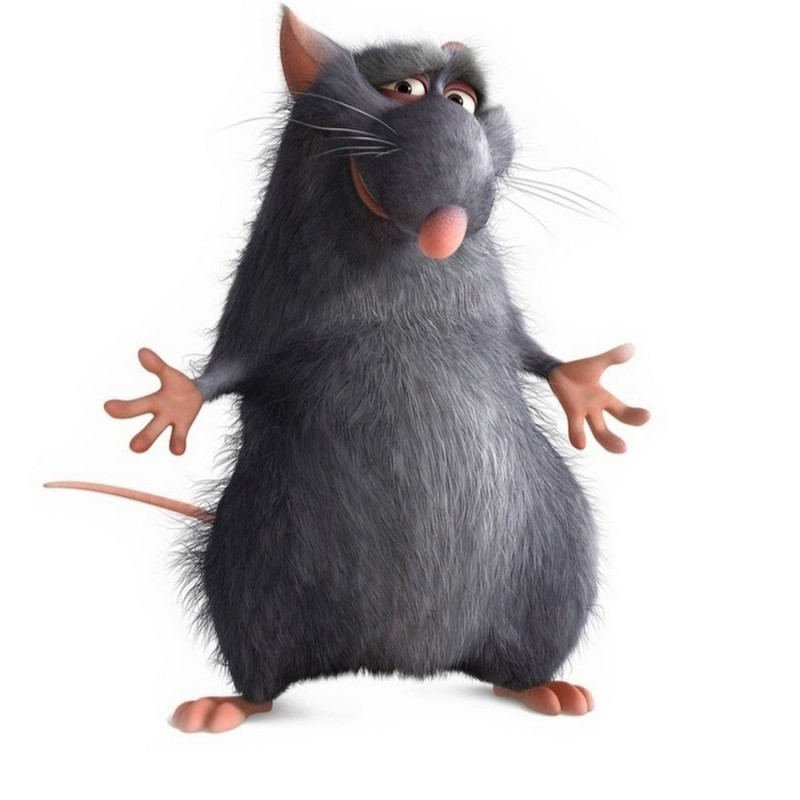 Create meme: rat from the cartoon ratatouille, ratatouille rat father, Ratatouille mouse