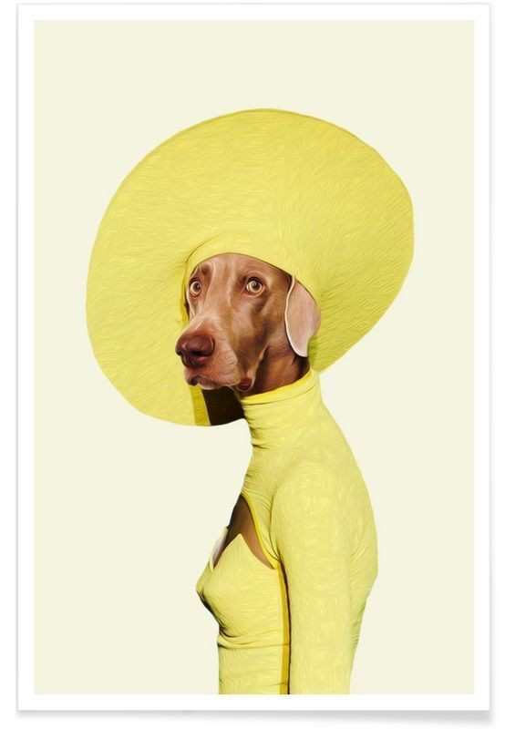 Create meme: the dog in the hat, animals funny, dog 