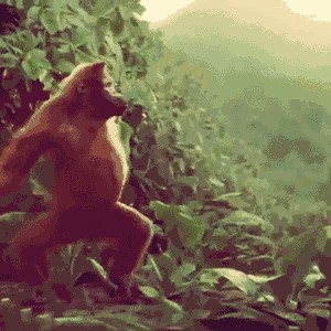 Создать мем: обезьяна танцует под субботу, рыжая обезьяна танцует, обезьяна танцует под субботу полная версия