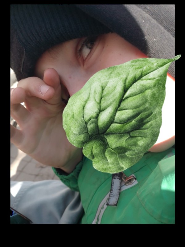 Create meme: spinach leaves, spinach, A girl holds spinach