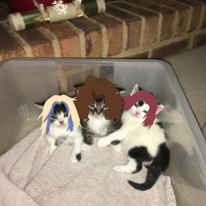 Создать мем: кот хуманизация, мемы аниме, аниме кошка