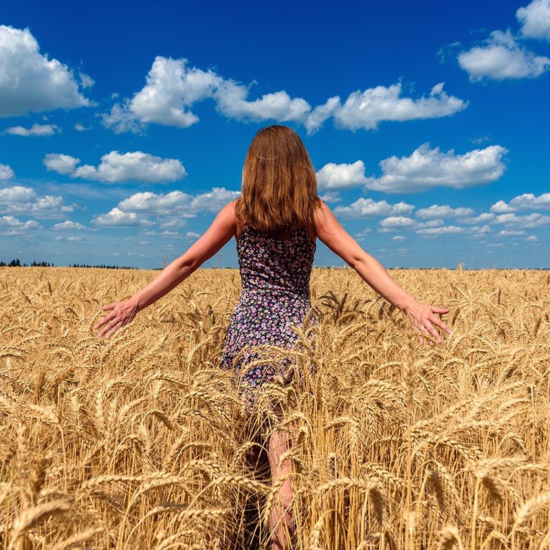 Создать мем: поля пшеницы, женщина, красивая девушка в поле