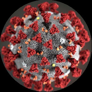 Create meme: corona virus under the microscope, virus, infection with coronavirus