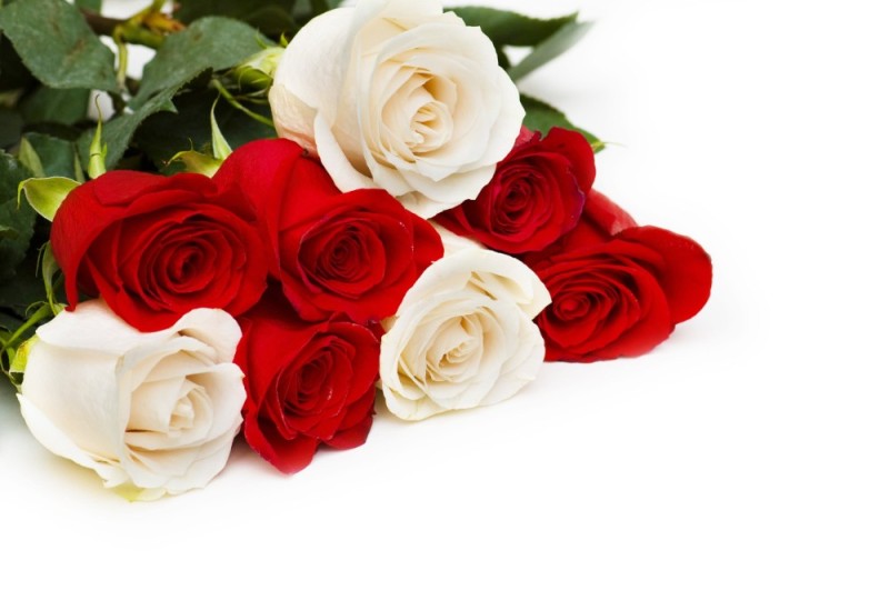 Создать мем: белые розы, розы поздравление, красные и белые розы
