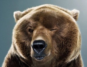 Create meme: bear, bear art, Russian bear