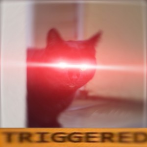 Create meme: cat, triggered red eyes, cats
