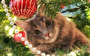 Create meme: cat tree, cat new year, Christmas cat