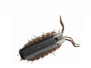 Create meme: cockroach, woodlice silverfish