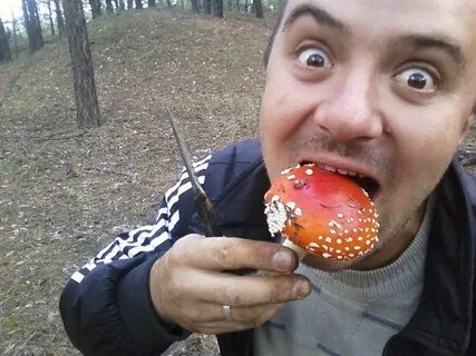 Create meme: The fly agaric man, it was the mushrooms, fly agaric