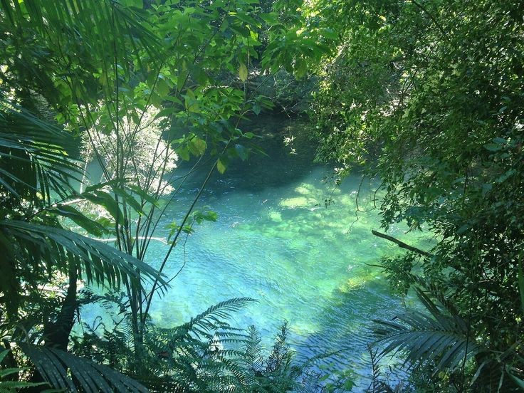 Создать мем: тропический водоем, природа красивые места, размытое изображение