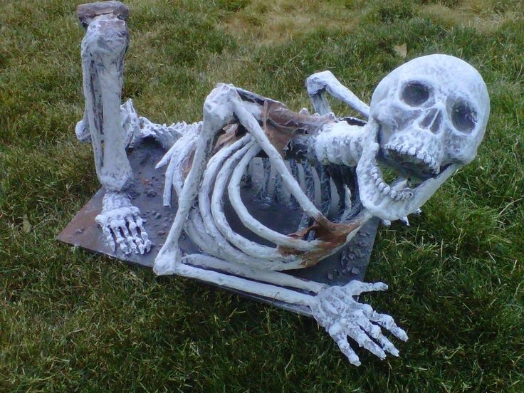Создать мем: живой скелет, скелеты скелеты, скелет хэллоуин