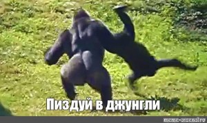 Создать мем: драка горилл, горилла, горилла самец