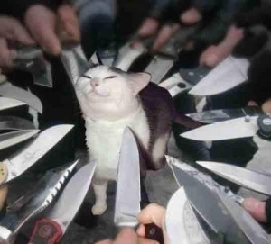 Создать мем: кот с ножом мем, котик окруженный ножами, кот с ножом