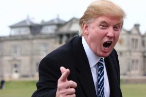 Create meme: trump impeachment, Donald trump is a schmuck, trump funny
