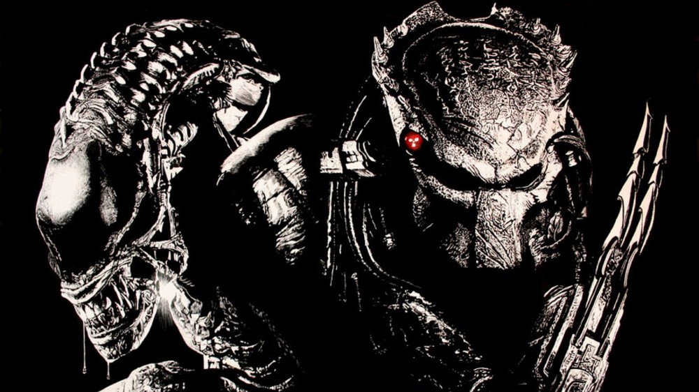 Xenomorph Alien Vs Predator Wallpaper