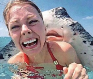 Create meme: pretty funny, sea creatures, selfie with a shark