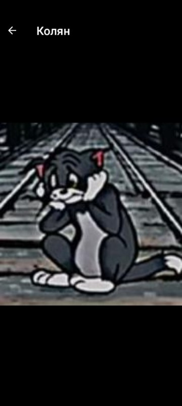 Create meme: Tom and Jerry , Tom and Jerry Tom on the rails, sad Tom and Jerry