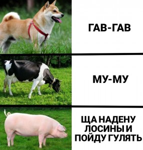 Создать мем: животные, пес, гав гав гав на разных языках