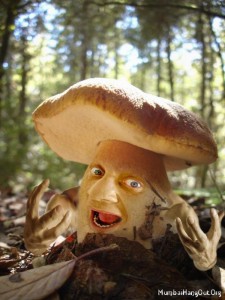 Создать мем: веселый гриб, белый гриб еловый боровик, ложный боровик белый гриб
