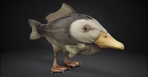 Create meme: creature, weird animals, duckbill fish