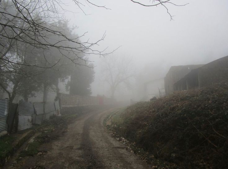 Create meme: foggy morning, fog in the forest, landscape 