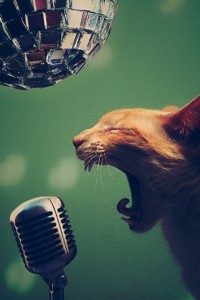 Создать мем: кот с микрофоном, котенок с микрофоном, фото кошки поют