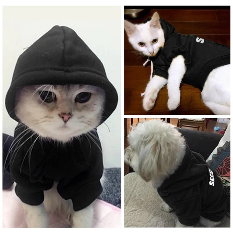 Создать мем: коты в костюмах, модный кот, одежда для котов