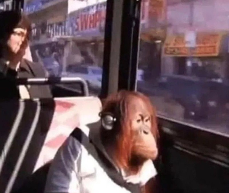 Создать мем: обезьяна в наушниках в автобусе, ноги, обезьяна в автобусе