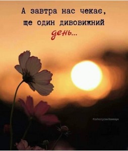 Create meme: flowers sunset, sunset, quotes life