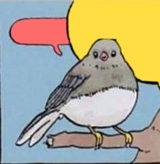 Create meme: a meme with a bird, memes with birds, I'm hooting a meme with birds