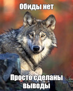 Create meme: wolf spirit, meme wolf , wolf muzzle