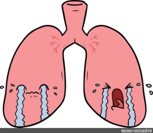 Create meme: drawing of human lungs, lungs and bronchi, lung organ