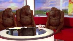 Создать мем: три обезьяны, орангутан самка, обезьяны за столом мем