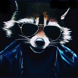 Создать мем: арт крутой, raccoon art, еноты