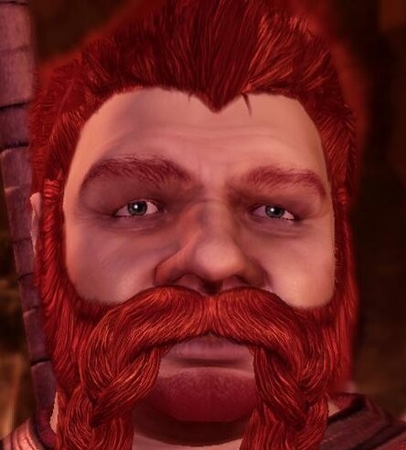 Create meme: ogren, ogren dragon age, beard 