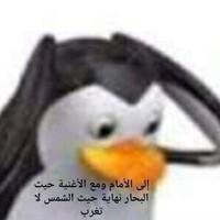Create meme: penguin arab, cast iron penguin, penguin with arabic inscription