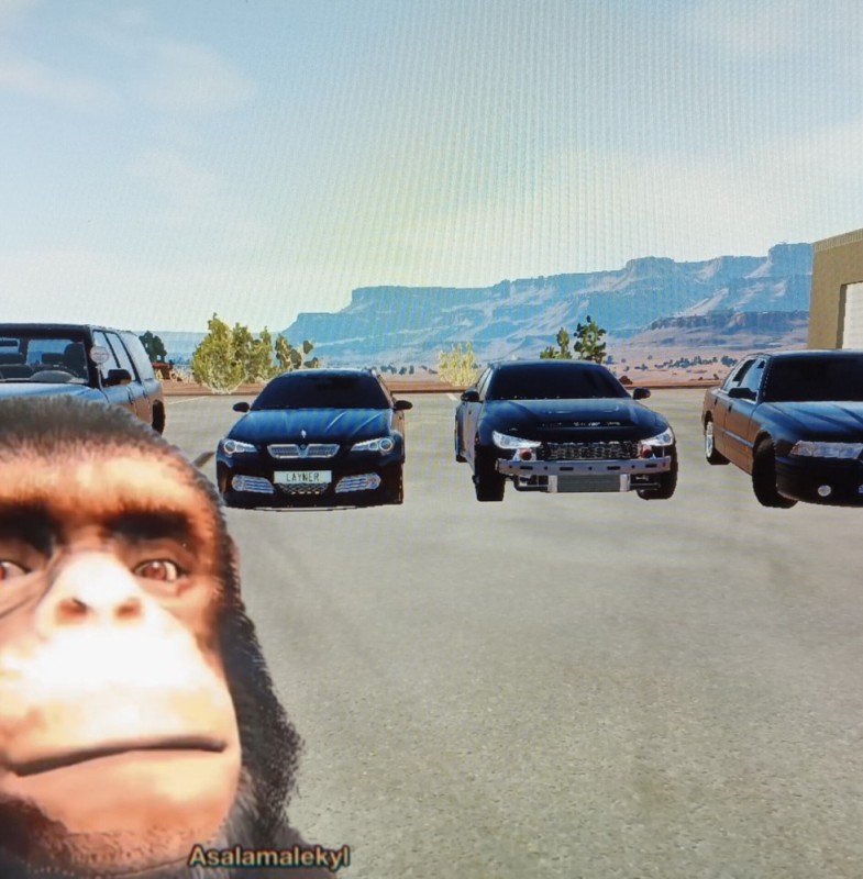 Create meme: car , gta 5 rp, GTA 5 monkey