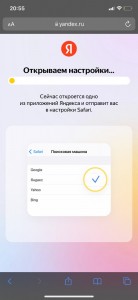 Create meme: Yandex browser with Alice, Yandex Alice