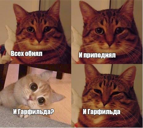 Создать мем: котик мем, мемы, кот мем довольный